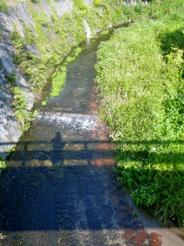 013 (375x500).jpg