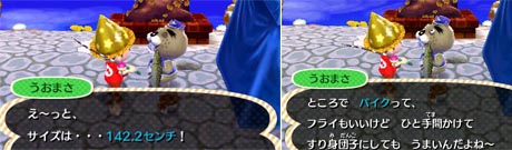 mori2550.jpg