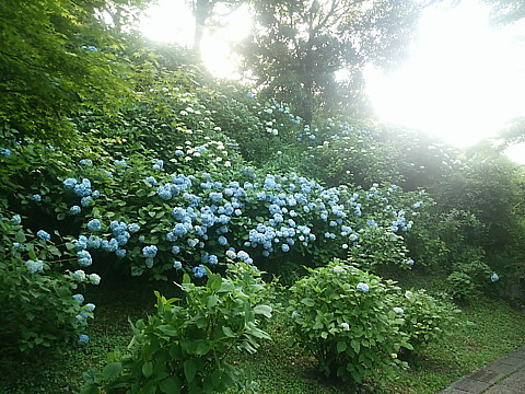 IMG_20160602_175905.jpg