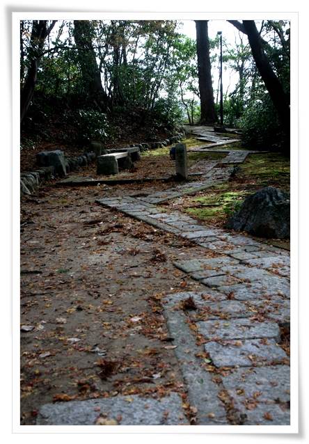 卯辰山山野草園-11 15.12.9