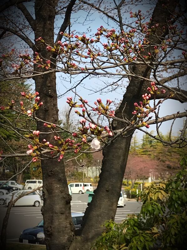 rblog-20180403210004-01.jpg