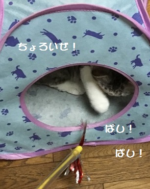 0607