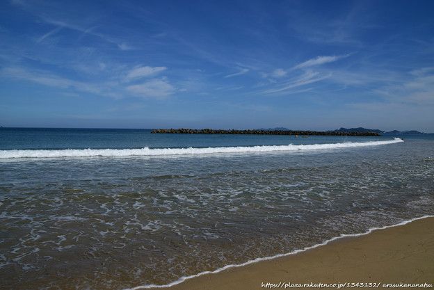 リトゥヤ湾大津波: 1958 年にアラスカを襲った史上最大の波