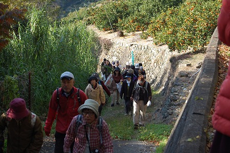 s-DSC_0919.jpg