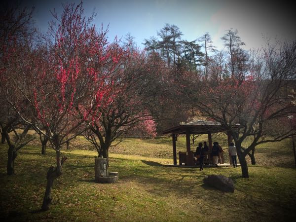 rblog-20160308142958-00.jpg