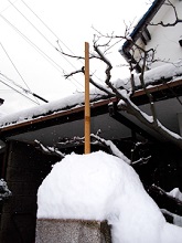 20170115積雪測定器.jpg