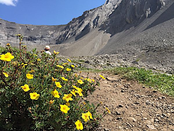 rblog-20180808073752-06.jpg