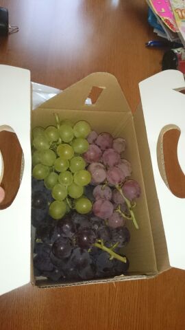 rblog-20140815134431-00.jpg
