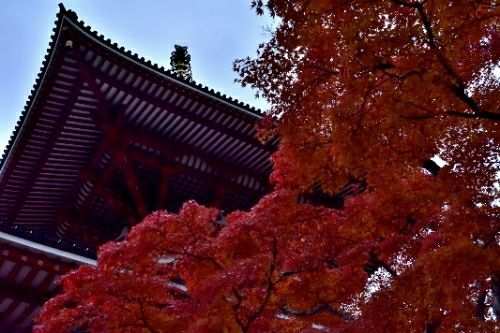 rblog-20171202081200-02.jpg