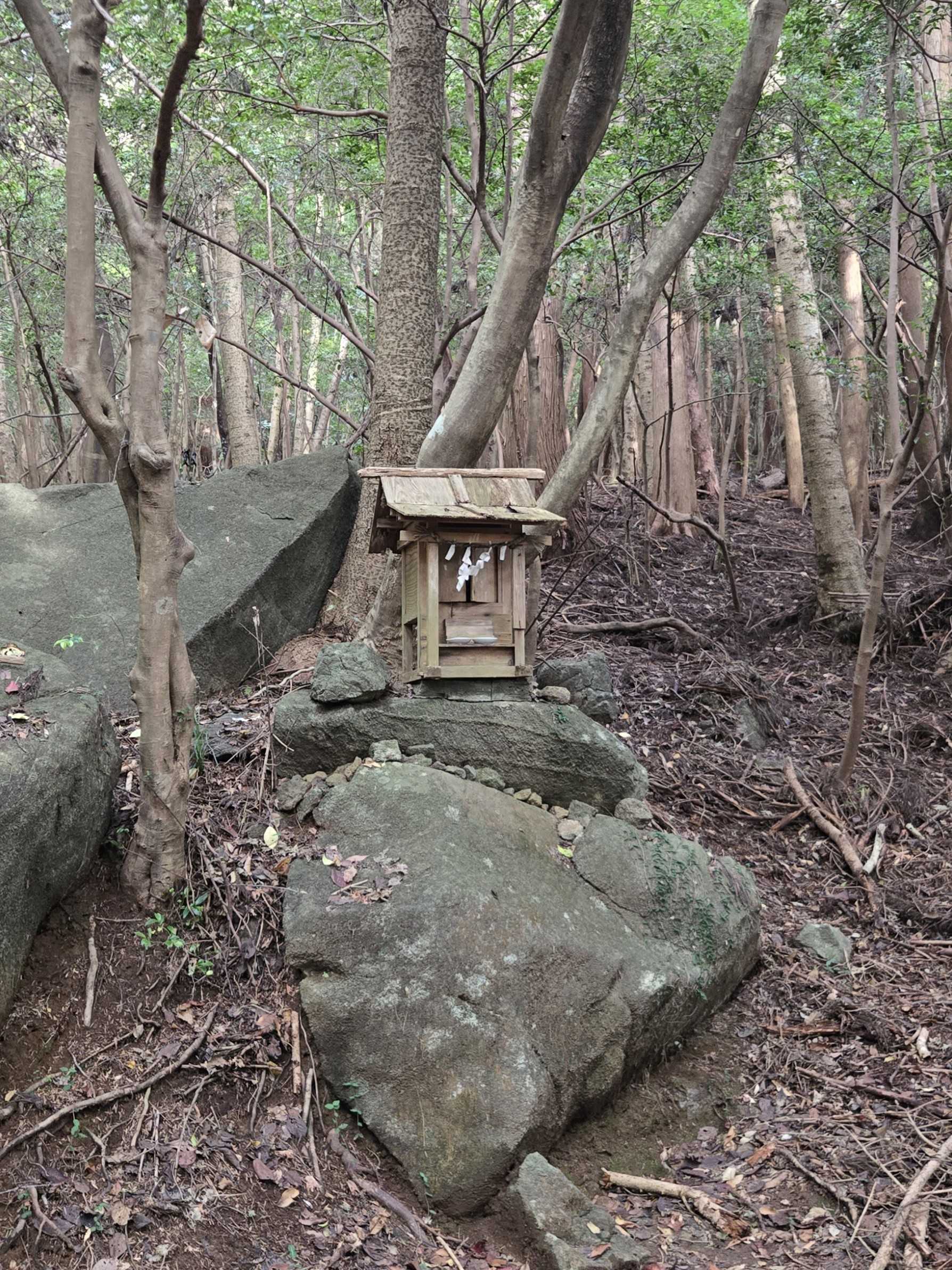 つくば市：筑波山神社 男女両神鎮座する常陸の御山とかみやしろ | おん 