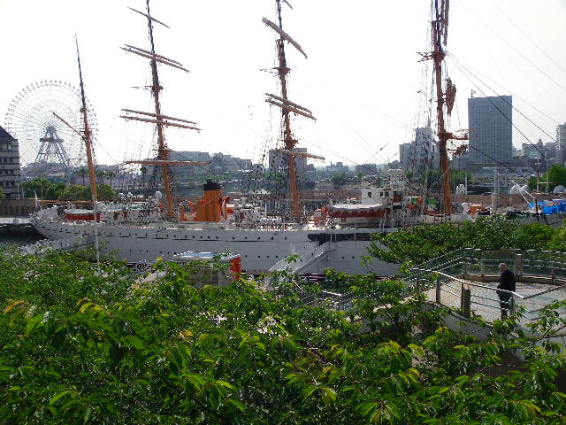 IMGP1920.JPG