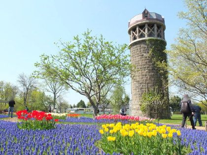 宮の森日記 百合が原公園 札幌の水彩色鉛筆画家 イラストレーター鈴木周作 楽天ブログ