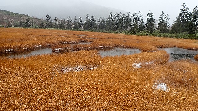 PA221594　13：18草紅葉.jpg