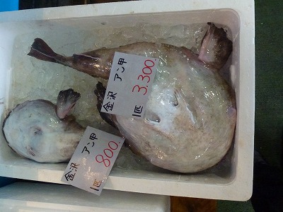 P1080782.jpg
