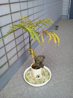 201209260623000.jpg