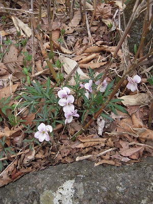 DSCN0060.jpg