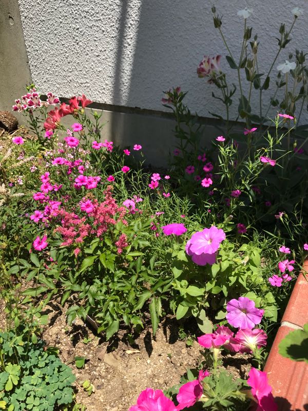 rblog-20180823220254-01.jpg