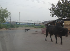 インド289.jpg