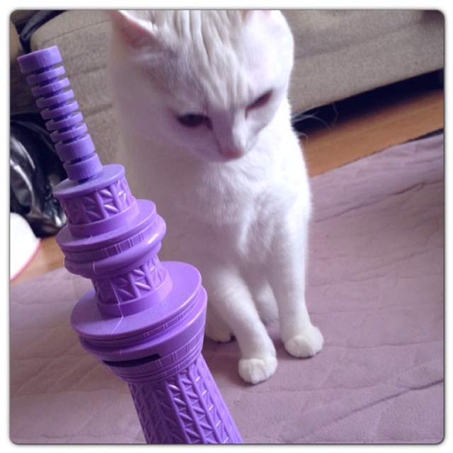 rblog-20130519190728-01.jpg