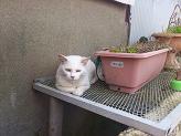 DSC 0770.JPG