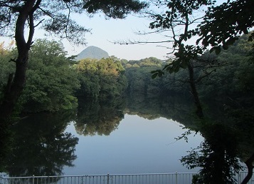 沼６A.jpg