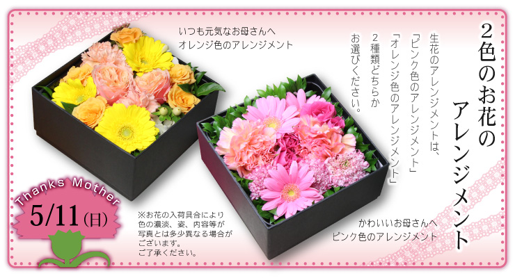 母の日ギフト京ばあむとお花のセット