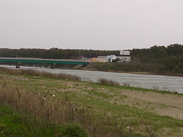 DSC_0005.jpg