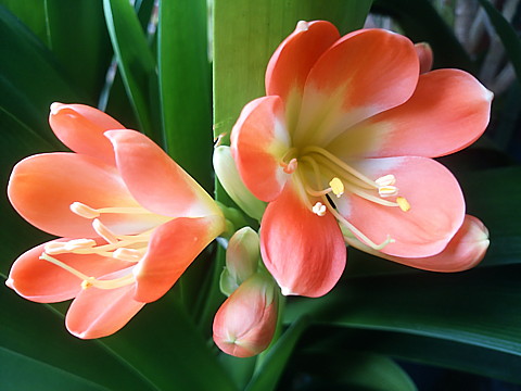 IMG_20160402_135620.jpg
