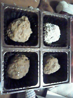 201202111627000.jpg