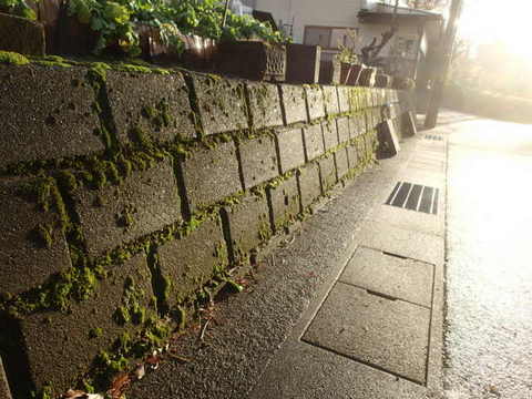 nitijou131130003