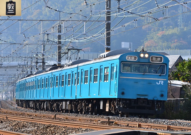 11 回9836M.jpg