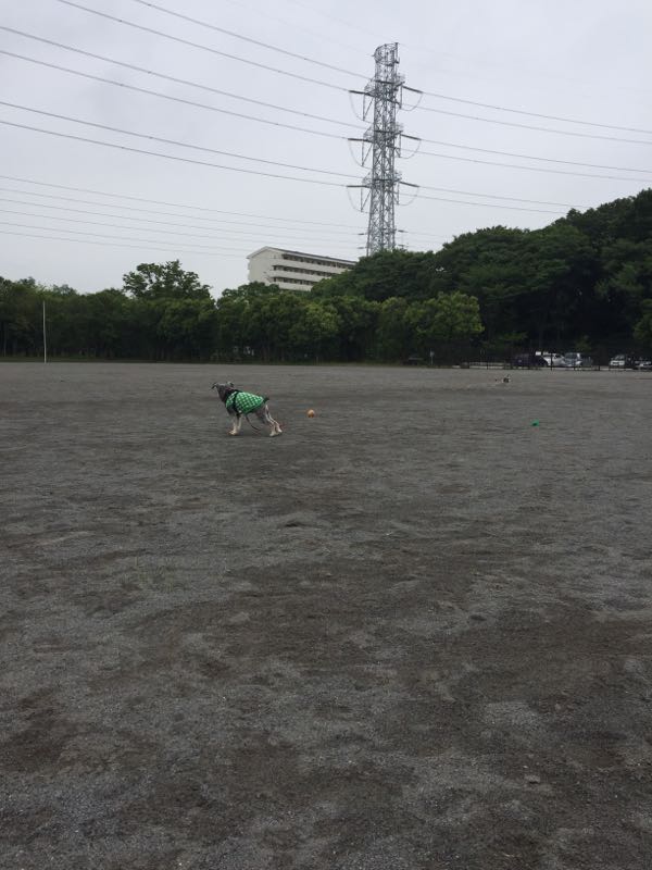 rblog-20160608004247-02.jpg