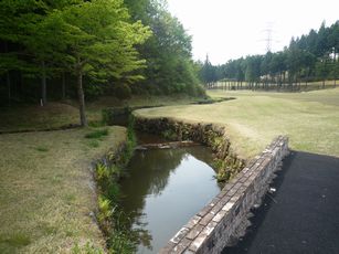 P1090260.JPG