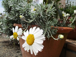 IMG_9605ss.jpg