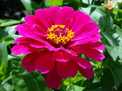20160712_090757 (400x300).jpg