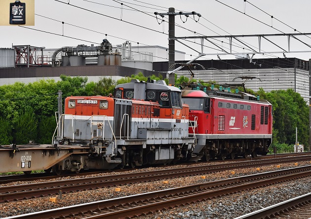 DSC_2666.JPG