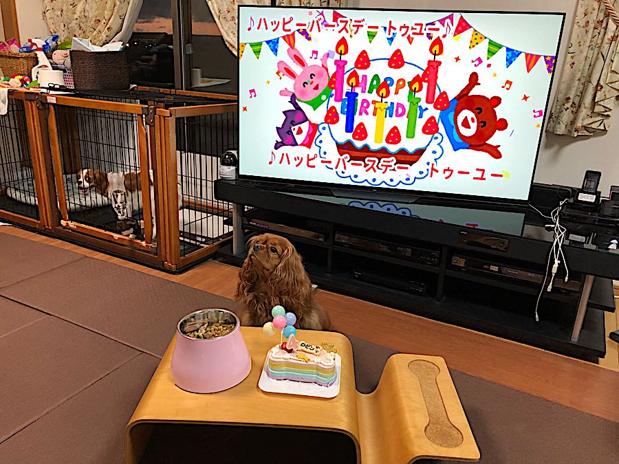 rblog-20180807204002-02.jpg