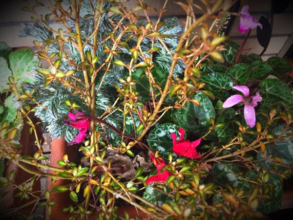 rblog-20150222132242-03.jpg