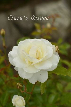 DSC_0032.JPG