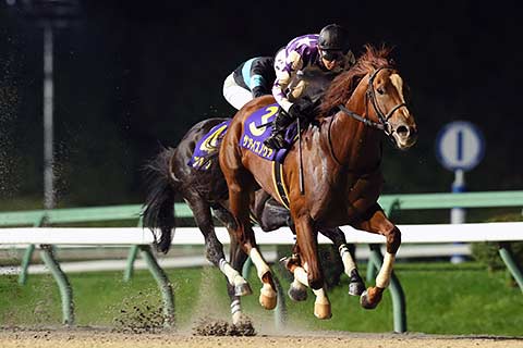 南部杯／人馬共に待望のＧ１初制覇！となりました | 地方競馬の楽天