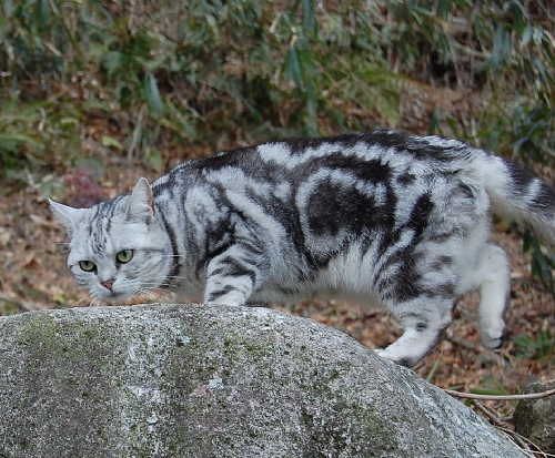 DSC_0043.JPG