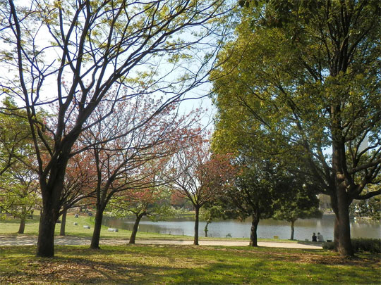 park2012041802.jpg