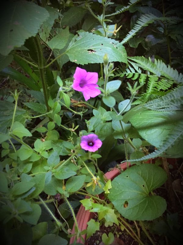 rblog-20160710211846-03.jpg