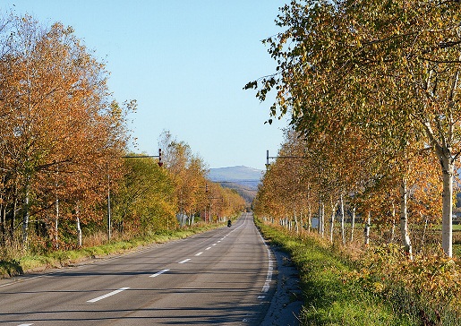 「白樺街道」.jpg