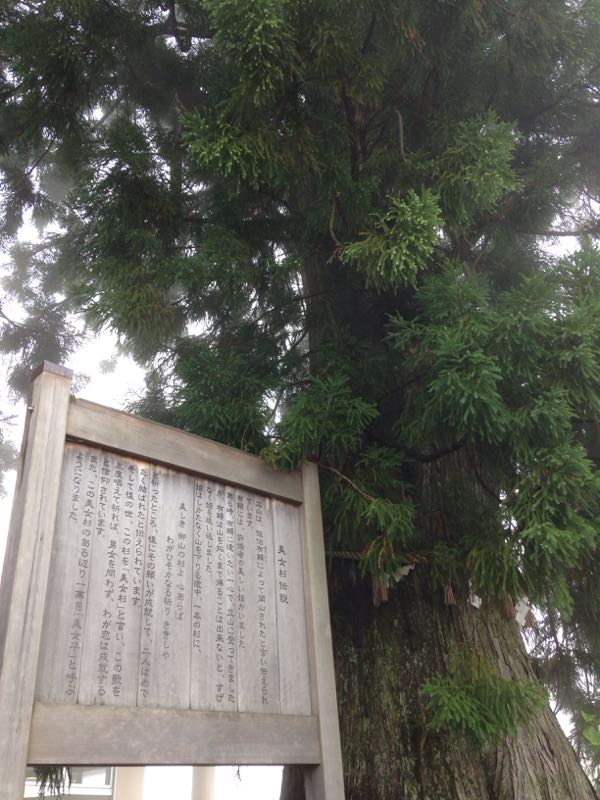 rblog-20150819164251-01.jpg