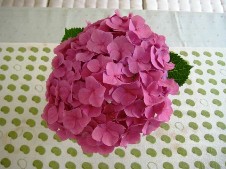 20120615紫陽花.jpg