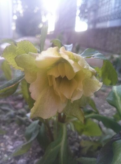 rblog-20140228235115-02.jpg