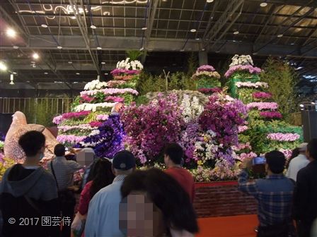 2017_03060125.jpg