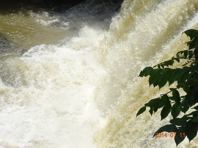 DSC04401_R.JPG