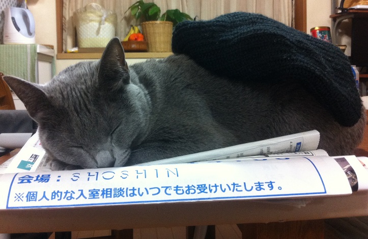 neko02